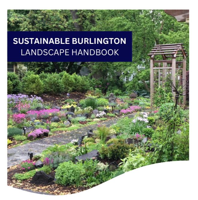 SUSTAINABLE BURLINGTON LANDSCAPE HANDBOOK_Webpage