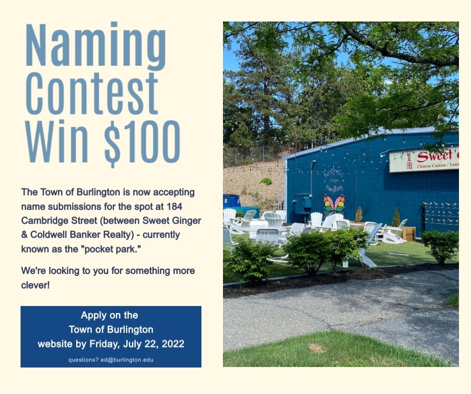 Naming the Park Flyer_July22